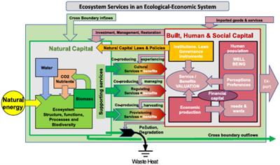Ecosystem Services and Human Wellbeing-Based Approaches Can Help Transform Our Economies